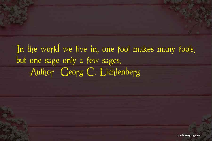 Georg C. Lichtenberg Quotes 78895