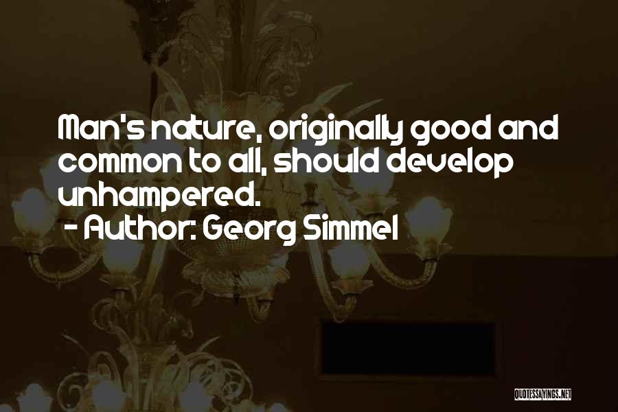 Georg Simmel Quotes 351759