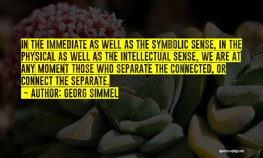 Georg Simmel Quotes 533470