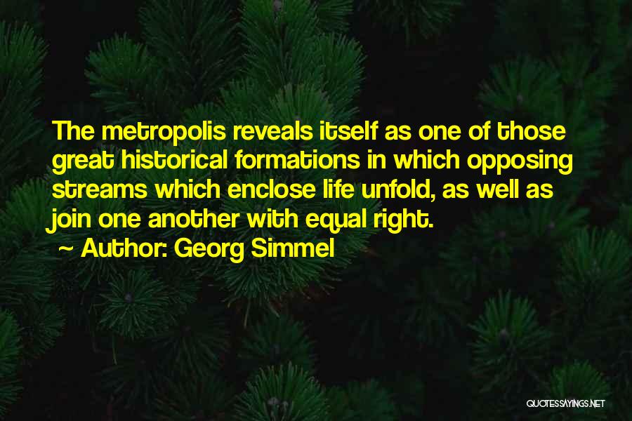 Georg Simmel Quotes 736796