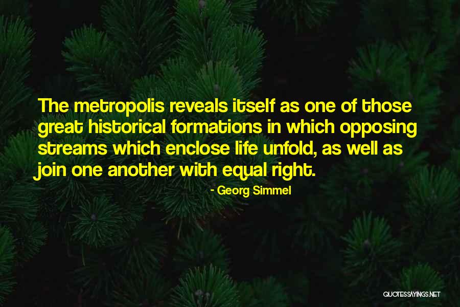 Georg Simmel Quotes 736796