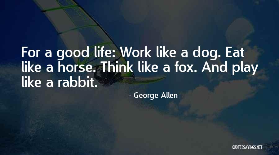 George Allen Quotes 841763