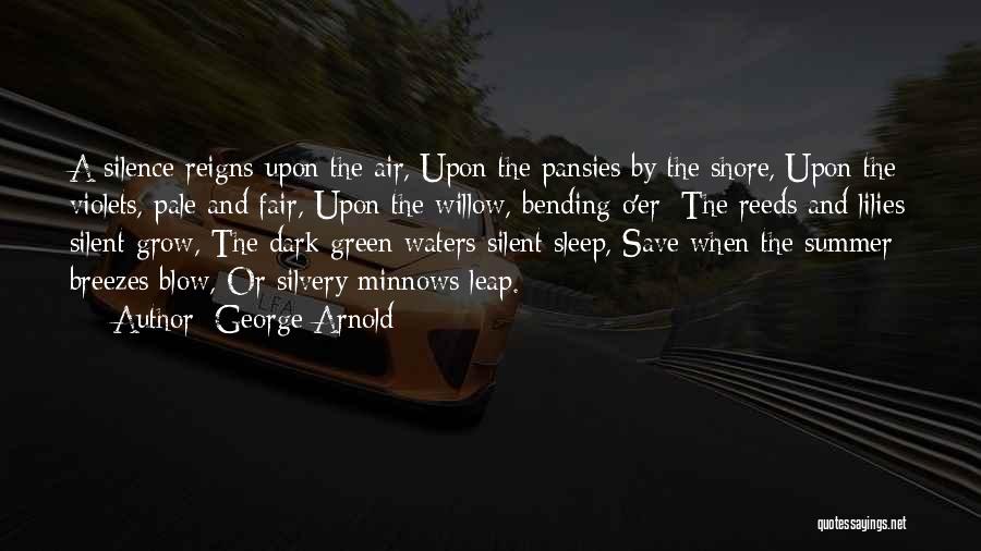 George Arnold Quotes 1194078