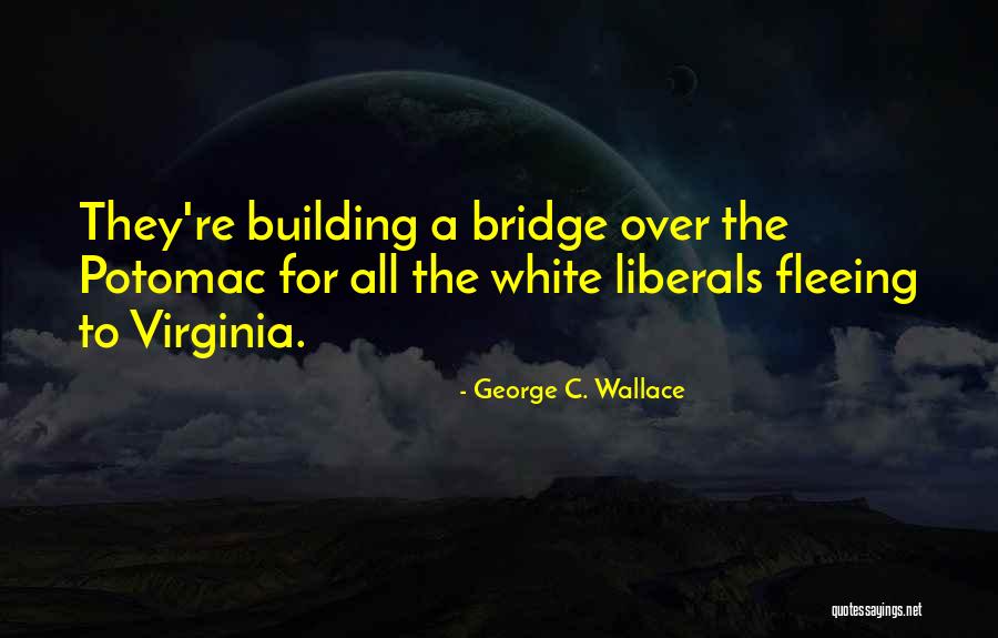 George C. Wallace Quotes 1973569