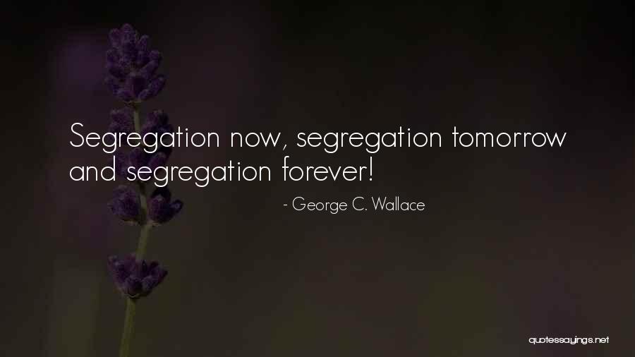 George C. Wallace Quotes 2127118