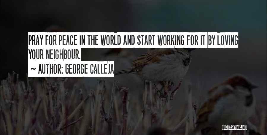 George Calleja Quotes 1995777