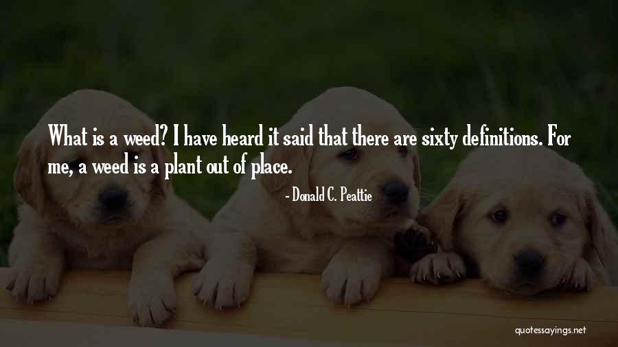 George Carlin On Death Quotes By Donald C. Peattie George Carlin On Death Quotes By Donald C. Peattie