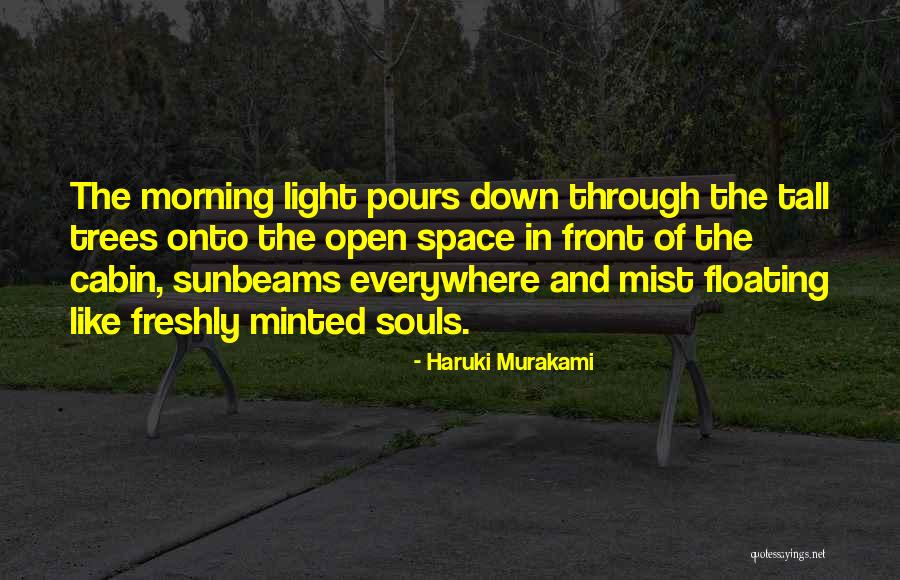George Cartier Quotes By Haruki Murakami George Cartier Quotes By Haruki Murakami