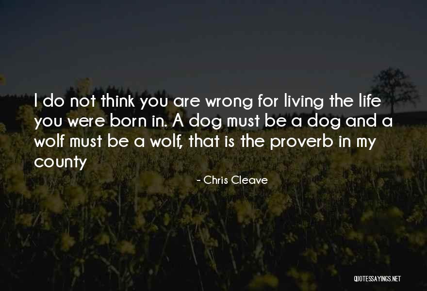 George Costanza Toupee Quotes By Chris Cleave George Costanza Toupee Quotes By Chris Cleave
