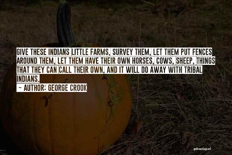 George Crook Quotes 1074966