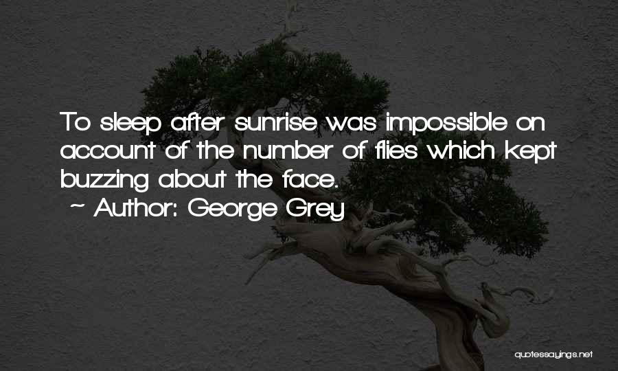 George Grey Quotes 1586383