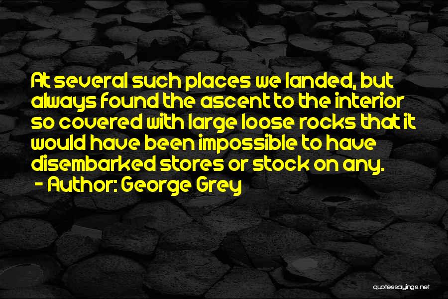 George Grey Quotes 1686780