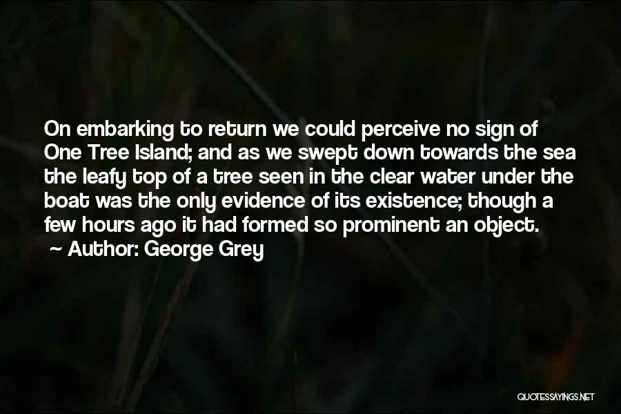 George Grey Quotes 880639