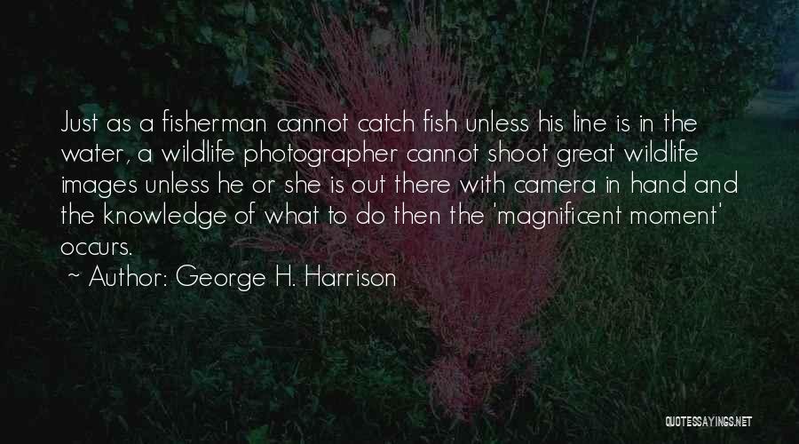 George H. Harrison Quotes 635360