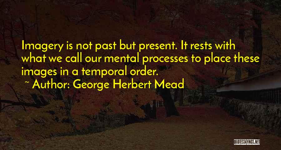 George Herbert Mead Quotes 1338547