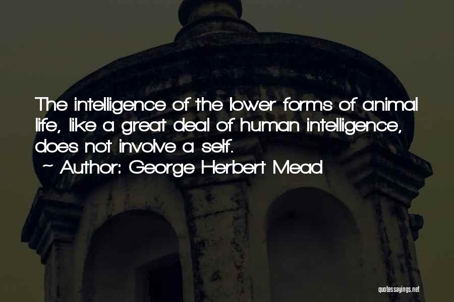 George Herbert Mead Quotes 991716