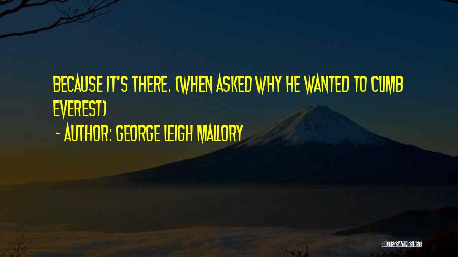 George Leigh Mallory Quotes 1059101