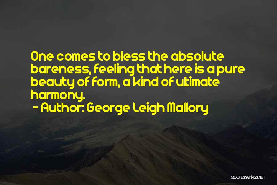 George Leigh Mallory Quotes 1191037