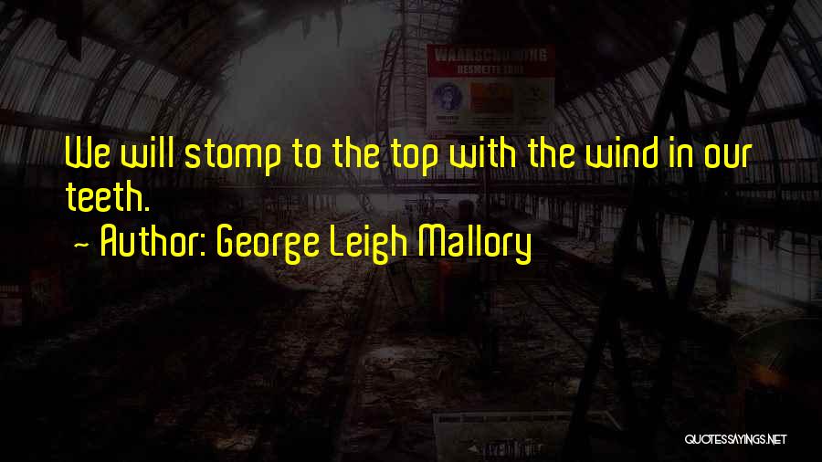 George Leigh Mallory Quotes 1529571