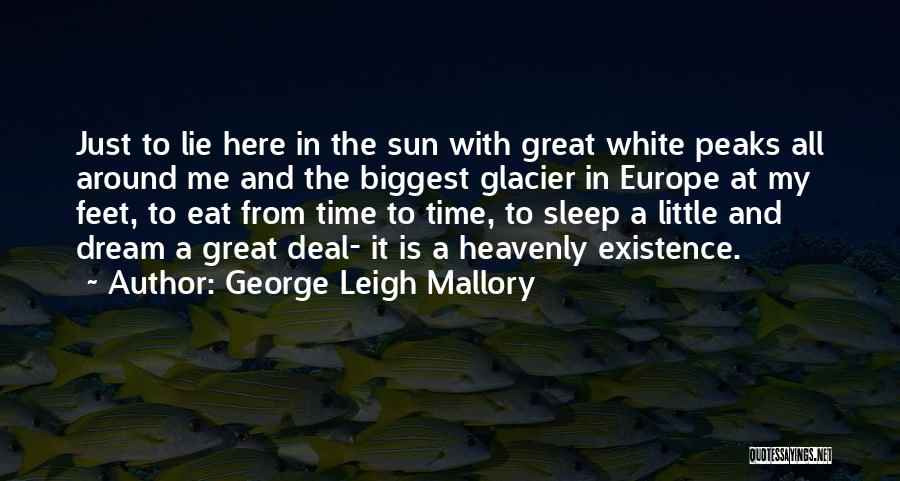 George Leigh Mallory Quotes 1729150