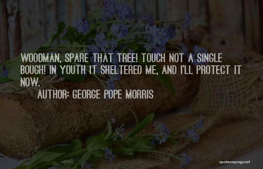 George Morris Quotes By George Pope Morris