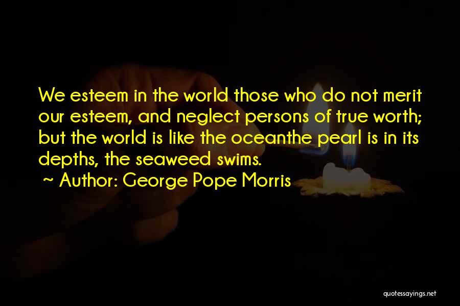 George Morris Quotes By George Pope Morris