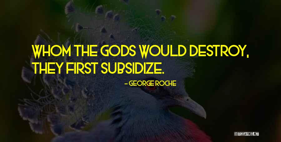 George Roche Quotes 541518