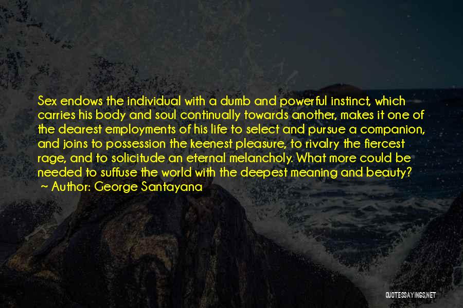 George Santayana Quotes 1144096