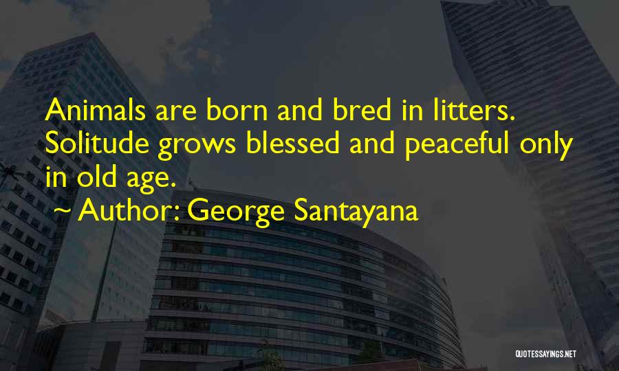 George Santayana Quotes 141138