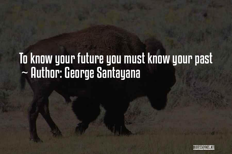 George Santayana Quotes 2073583