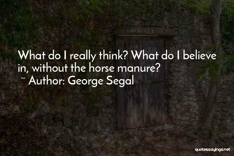 George Segal Quotes 1418374