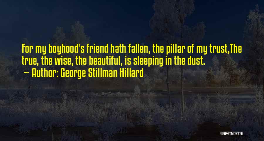 George Stillman Hillard Quotes 1319901