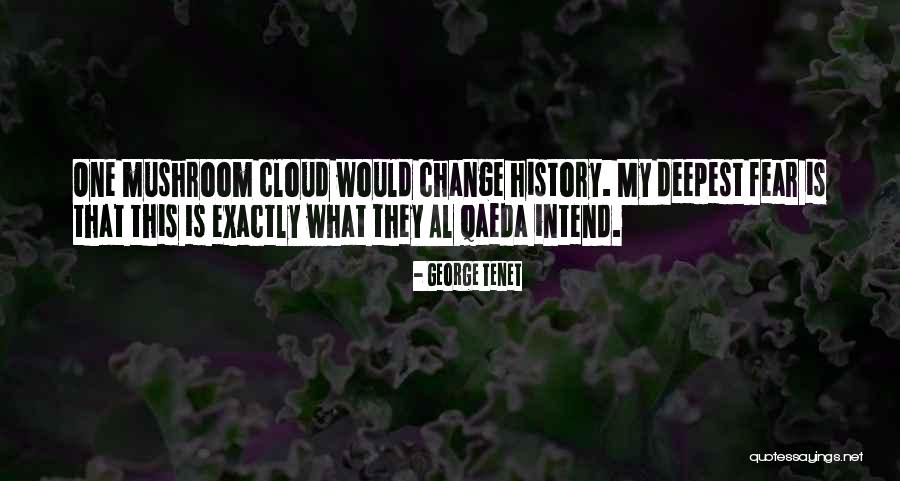 George Tenet Quotes 1654197 George Tenet Quotes 1654197