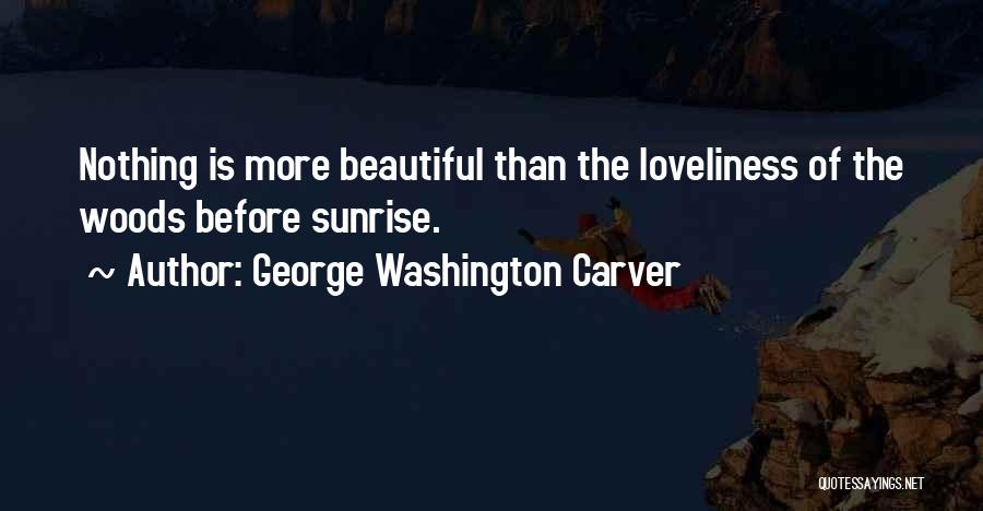 George Washington Carver Quotes 1928315