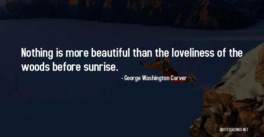 George Washington Carver Quotes 1928315 George Washington Carver Quotes 1928315