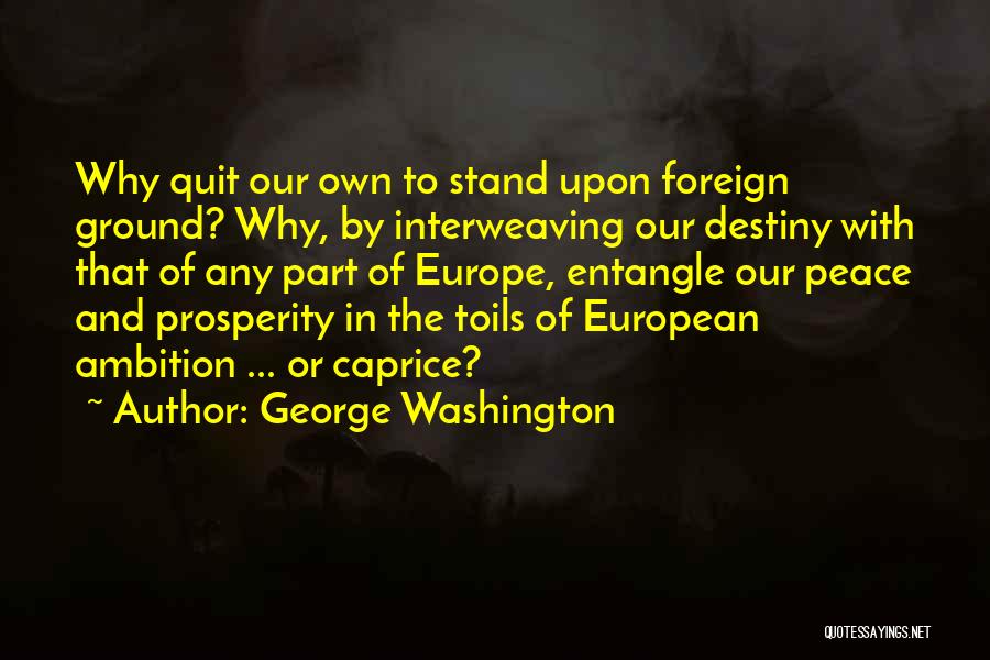 George Washington Quotes 1744357