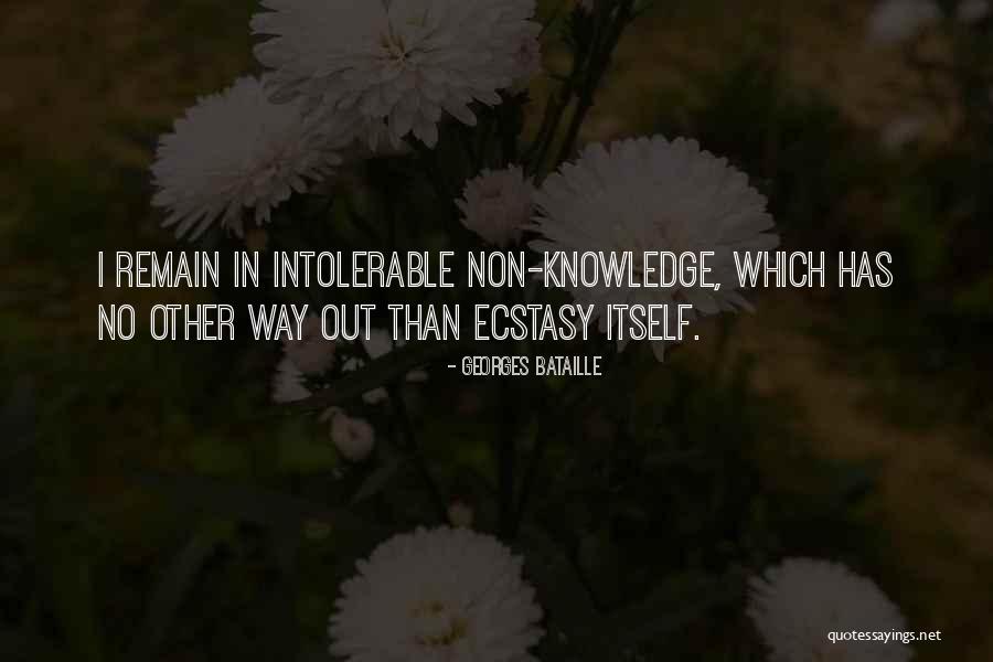 Georges Bataille Quotes 1358333 Georges Bataille Quotes 1358333