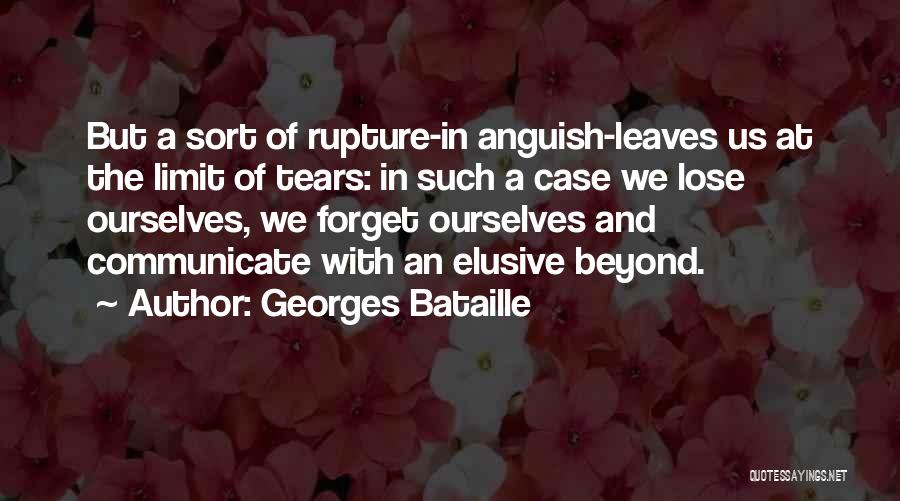 Georges Bataille Quotes 1548967
