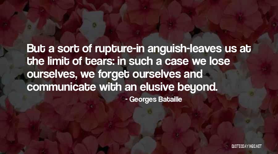 Georges Bataille Quotes 1548967