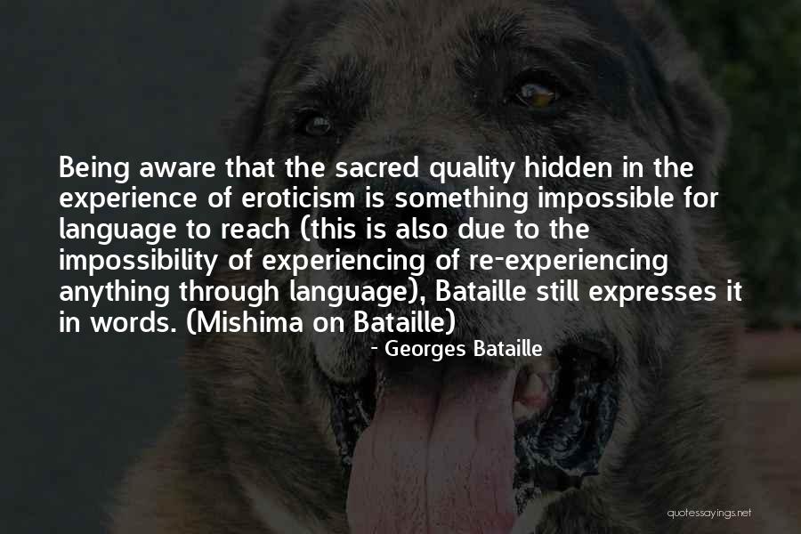 Georges Bataille Quotes 2208913 Georges Bataille Quotes 2208913