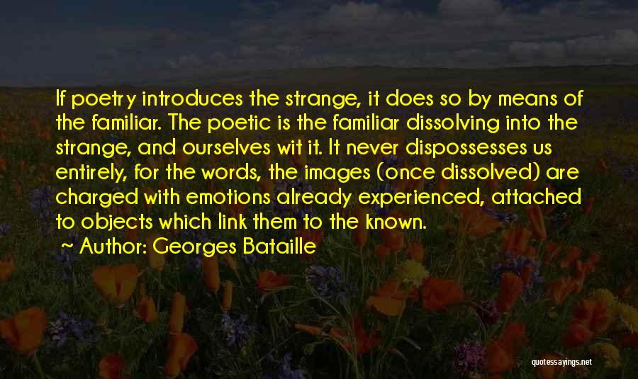 Georges Bataille Quotes 523898
