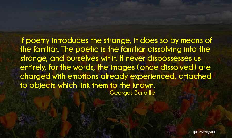 Georges Bataille Quotes 523898 Georges Bataille Quotes 523898