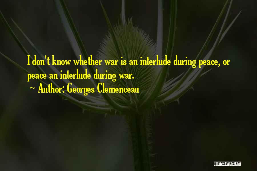 Georges Clemenceau Quotes 1142589