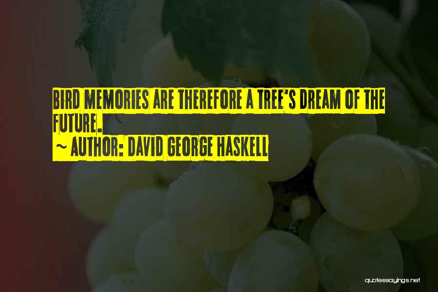 George's Dream Quotes By David George Haskell