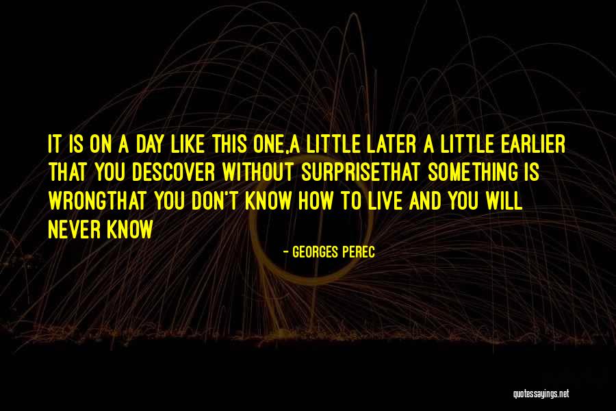 Georges Perec Quotes 624009