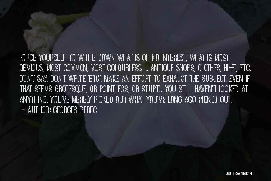 Georges Perec Quotes 852640