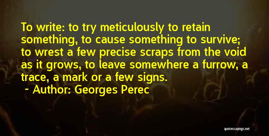 Georges Perec Things Quotes By Georges Perec