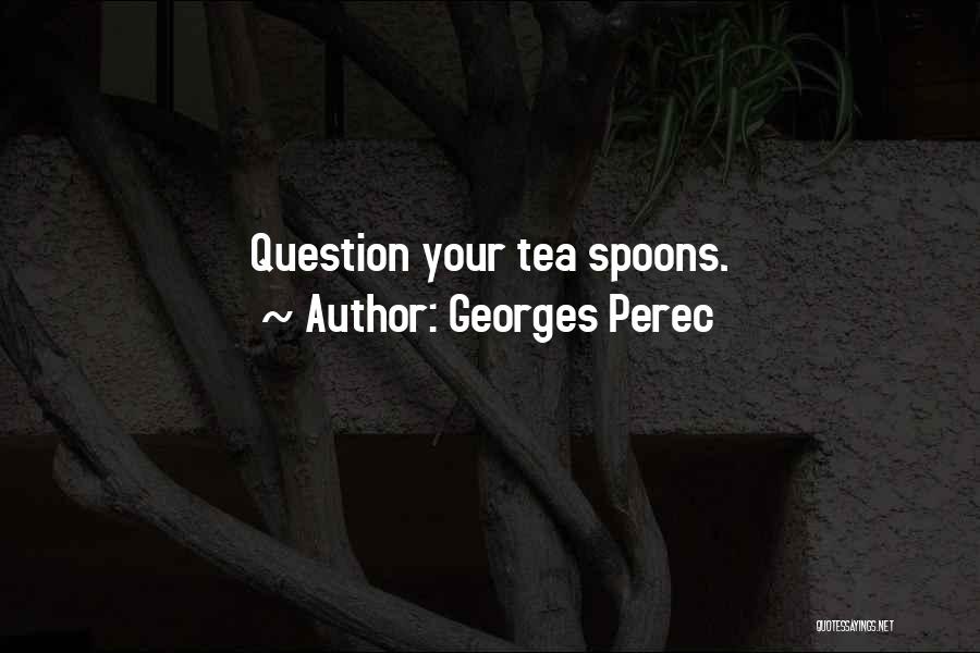 Georges Perec Things Quotes By Georges Perec
