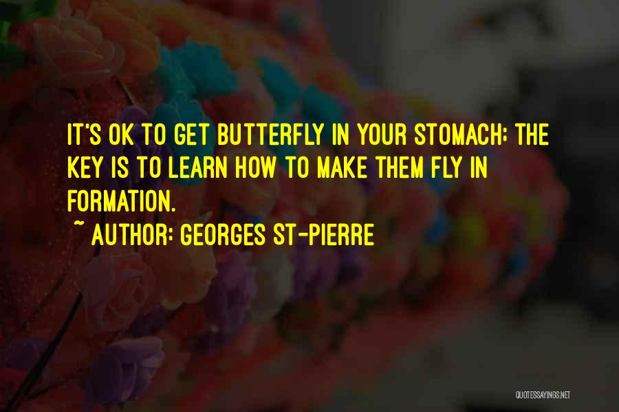 Georges Pierre Quotes By Georges St-Pierre