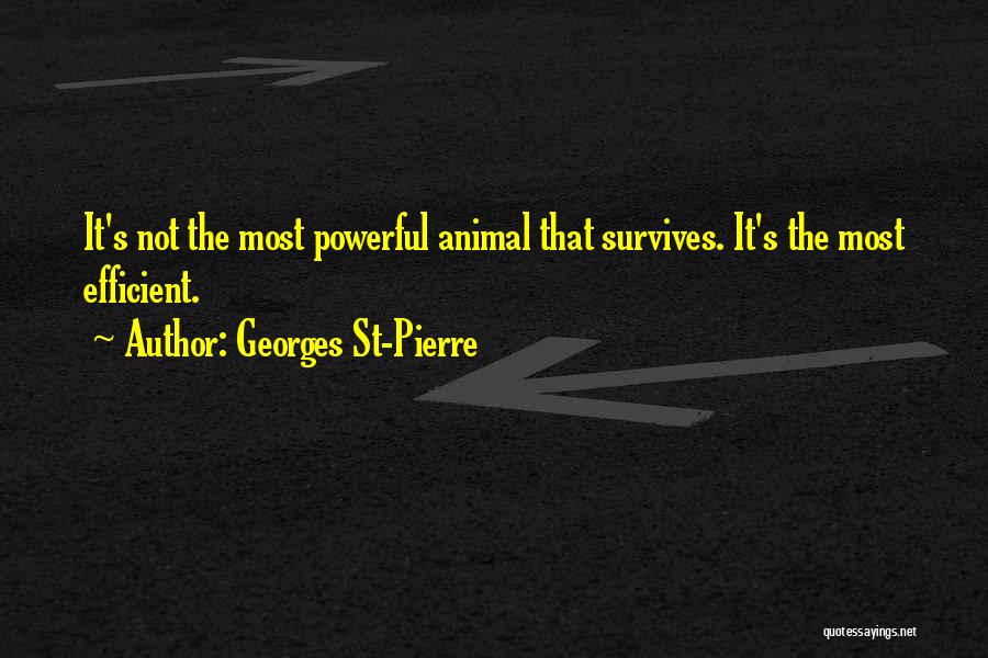 Georges Pierre Quotes By Georges St-Pierre